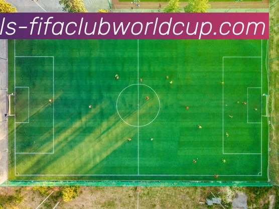 世界杯赛程平台生态图