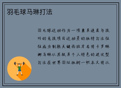 羽毛球马琳打法